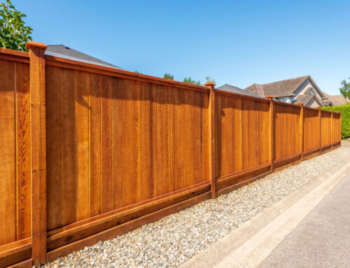 How to Enhance the Life of Your Cedar Fence: Staining and Sealing Guide