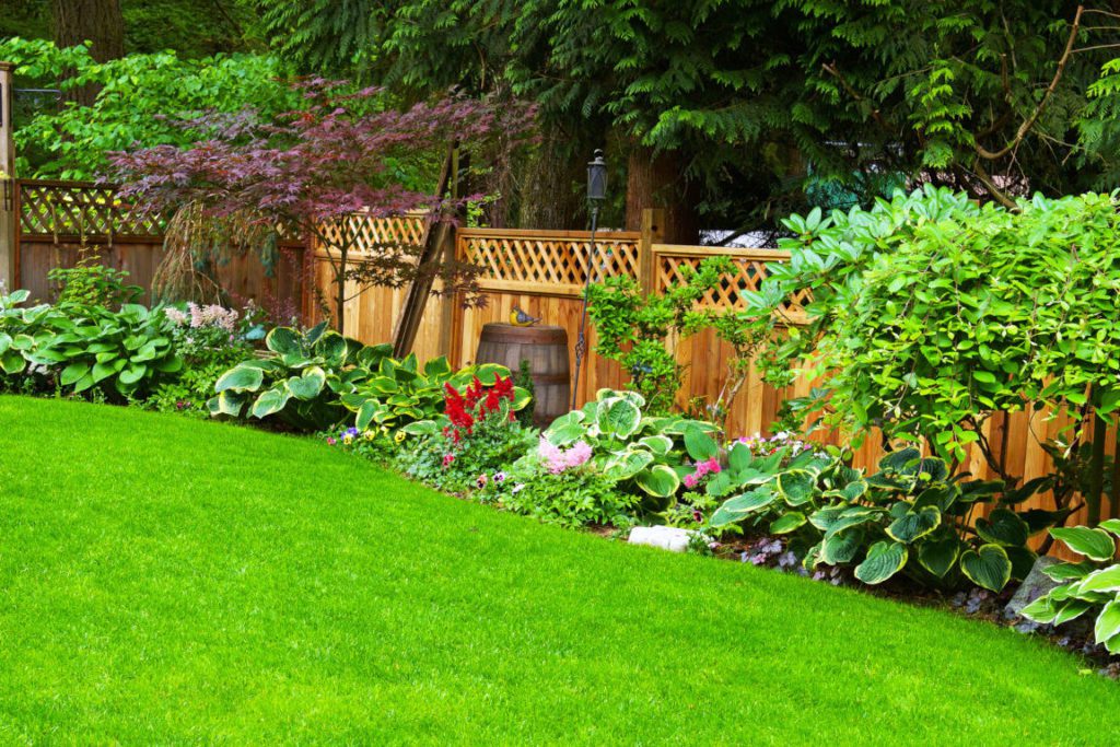 A beautifully arranged and trimmed home garden.