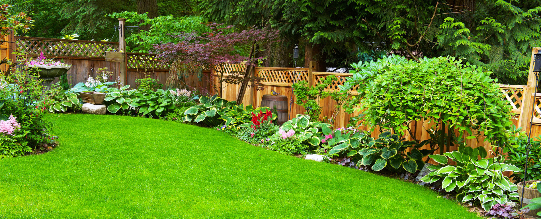 A beautifully arranged and trimmed home garden.