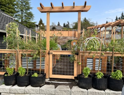 Unique custom design cedar fence