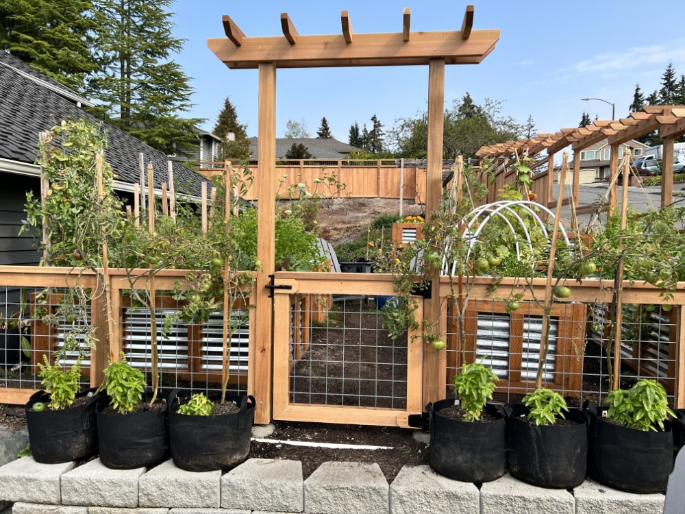 Hog wire garden fence with decorative arbor gate