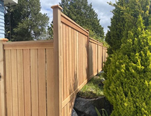 How to Choose the Right Privacy Fence for Your Home