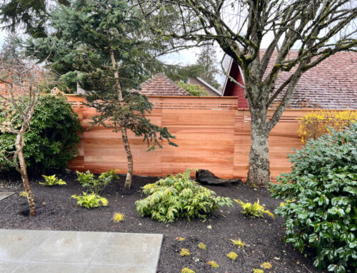 Revitalizing Your Fence After a Harsh Winter: A Comprehensive Guide