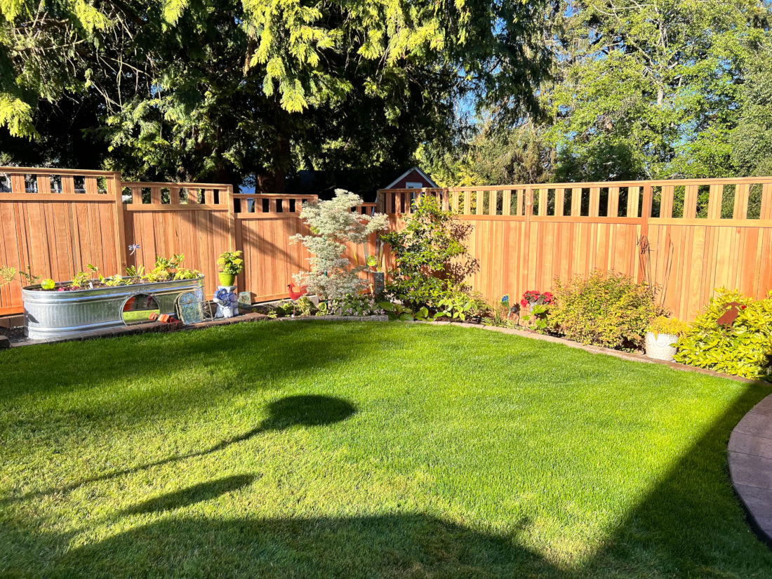 Sunny backyard with new cedar fence and garden with decorations.