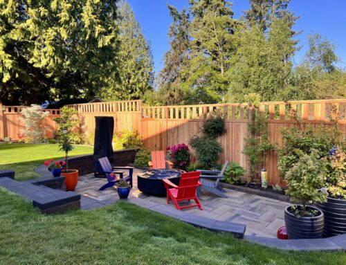 Seattle’s Guide to Summer Maintenance for Cedar Fences