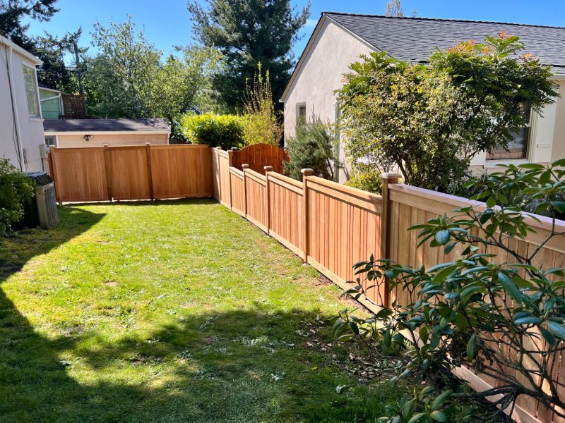 full panel style fence in yard